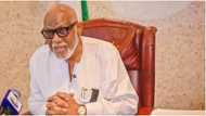 Reason desperate politicians are spreading rumours about Akeredolu’s health, aide speaks