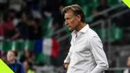 Herve Renard: why two time AFCON winner may not take Super Eagles job