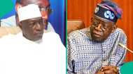 Ahmed Makarfi: Tsohon gwamnan Kaduna ya samo mafita ga Tinubu kan rashin tsaro