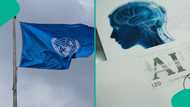 UN Women warns artificial intelligence is reinforcing gender stereotypes and amplifying online abuse