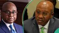 Moghalu explains why Emefiele is worst and most damaging CBN governor in Nigeria's history