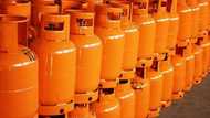 FG partners billionaire's firm to distribute 5 million LPG cylinders as cooking gas prices crash