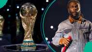 Burna Boy FIFA snub: Madonna, BTS, Shakira named for World Cup final show