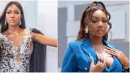 BBNaija Lockdown reunion: You're desperate - Tolani Baj throws pillow at Vee as they fight dirty