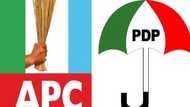 N100m nomination form: PDP raises alarm, accuses APC of stealing government funds for elections