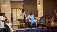 New twist as President Bola Tinubu asked to appoint powerful Rivers politician minister