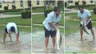 "Manna from heaven": Man catches big fish inside flood in his street, he flaunts It in viral video