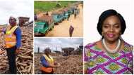 Yemisi Iranloye: Nigerian lady who left Lagos to live on a farm and now owns a billion naira cassava business