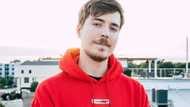 Mr Beast net worth: Where does the YouTuber get his money?