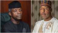 Why Osinbajo should become president in 2023 - Group