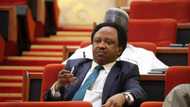 I'm not Sheikh Gumi - Shehu Sani warns against publicising his appearance for conferences