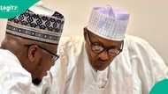 “What I saw living with Buhari for 25 years”: Pantami speaks