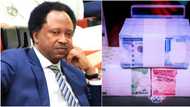 Scarcity of naira: Shehu Sani reveals how bankers should dress to avoid wrath of angry customers