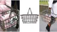 Throwback: Photos of Chanel's N5.5m designer grocery basket sparks reactions
