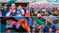 2023 elections: Labour Party leader, 2000 Supporters, dump Peter Obi, join APC in northern state