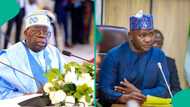 Major political party dares Tinubu, Defence minister to step out without escorts, "Pain of daily killings"