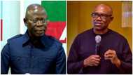 2023 election: Confusion as Adams Oshiomhole levels heavy allegation against Peter Obi