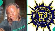 WAEC 2025: Lady celebrates as brilliant brother bags 7 A1s in exam after getting 359 in JAMB