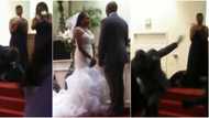 Massive reactions as groom falls under anointing after kissing bride on the altar, jumps up in viral video