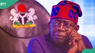 President Tinubu asked to probe missing $15bn, N200bn of oil revenues
