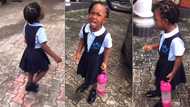 Little girl breaks down in tears after mistakenly killing a snail on her way to school, video melts hearts