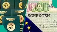 List of 10 common reasons for Schengen visa refusals in 2026