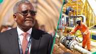 Dangote to begin crude oil production, reduces dependence on NNPC