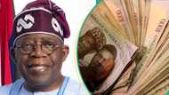 How it will be disbursed: Over 283k Lagos residents to receive N25k each from Tinubu's govt