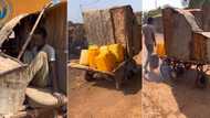 "Africans are so creative": Boy makes moving truck using wood and generator engine, video trends