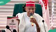 Minimum wage: 4 key things to note as Kano governor Abba Yusuf implements new pay