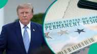 US Lists 4 responsibilities every foreigner must fulfil after getting Green Card