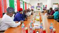 2023: Calm down, this is how we'll choose presidential candidate - PDP bigwigs to members