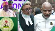 Nnamdi Kanu: Court lifts ban on IPOB as terrorist group, fines Tinubu's FG N8 billion