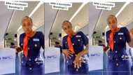 Elegant lady who is flight attendant dances and shakes waist in plane after successful landing