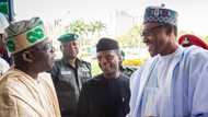 2023: Tinubu’s loyalists brag, say nothing will stop APC leader from succeeding Buhari