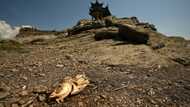 China warns of 'severe' threat to harvest from worst heatwave on record