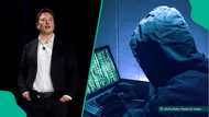 Elon Musk predicts trend of Bitcoin, Dogecoin prices in 2025 as billionaire plans 'X money' launch