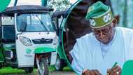 Ku zo ku cike fom: Tinubu zai fara rabawa matasa Keke Napep masu amfani da CNG