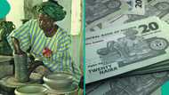 Celebrating Ladi Kwali: Famous Nigerian potter who became first woman on Nigerian currency