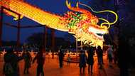 China new year holiday spending surges past pre-pandemic levels