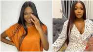 Na breakfast cause am: Fans react as Vee and Tolani Baj surprisingly reconcile, party together at Lagos lounge