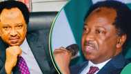 Presidential tribunal judgement: Shehu Sani drops cryptic tweet on who may win