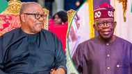 Peter Obi visited President Tinubu at Aso Rock? Fact emerges