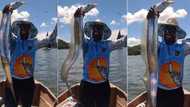 Lucky fisherman celebrates after catching silver-coloured oarfish worth thousands of cash in video