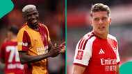Osimhen vs Gyokeres: Comparing stats of both strikers as Arsenal eyes Nigerian forward