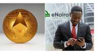 Cryptocurrency adoption overshadows interest in e-Naira