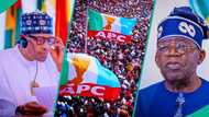 Buhari speaks out amid claims of being at war with Tinubu, APC: "We are not disturbed"