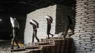 UN says aid halted to Ethiopia's Tigray after renewed clashes