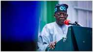 2023: Amid search for running mate, Tinubu leaves Nigeria, media aide reveals his destination