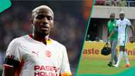 Victor Osimhen's injury record amid fans' claims he intentionally skips Super Eagles duty